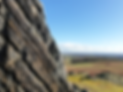 Layers of Rock in Bradgate Park (C) Charnwood Forest Geopark.png