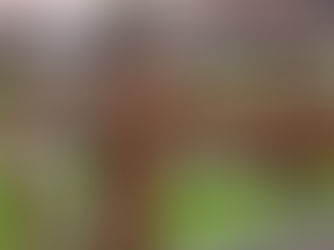 The Ultimate Guide to Post and Rail Fencing