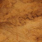 Burr Walnut - Faded