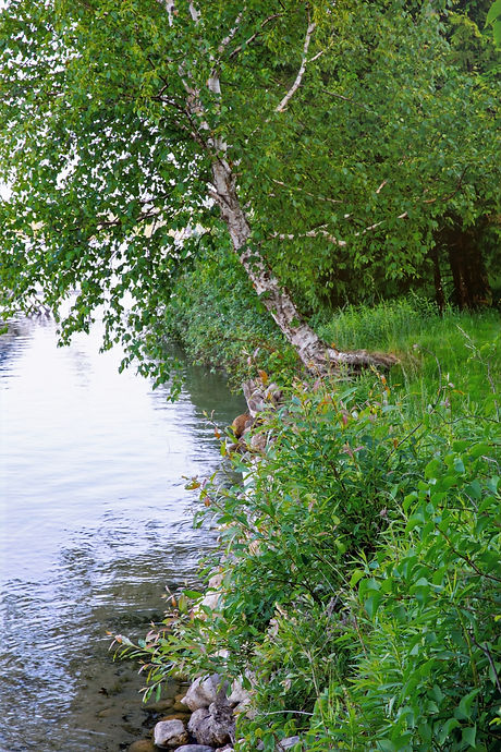 Lime Lake Greenbelt