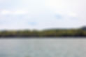 Pat's Preserve Lime Lake Leelanau County