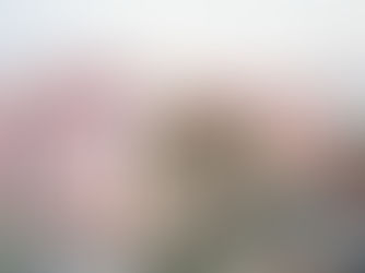 No,101 虚飾の朝鮮半島(The ostentatious the Korean Peninsula)