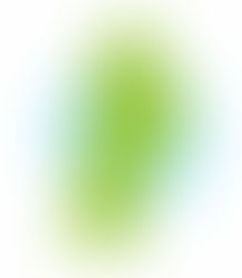 No,82 東北地方の特色 (The characteristics of the Tohoku Region)