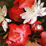 WhatsApp Image 2025-04-25 at 19.01.54.jpeg