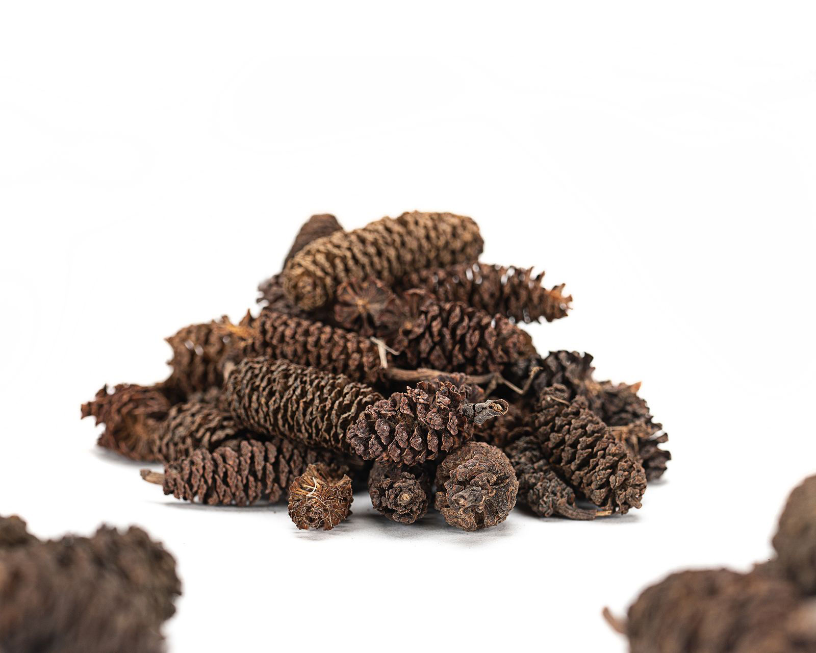 Cônes d'aulne premium