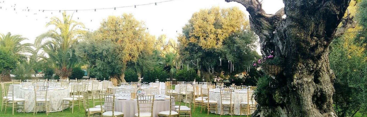 Finca en Elche