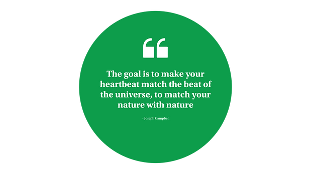 NATURE (2).png