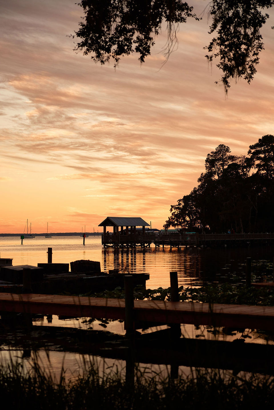 A variety of culinary delights await along Northeast Florida's inshore waterways