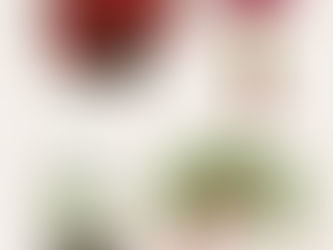 How to Care for Holiday Plants