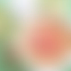 Strawberry and Key Lime Tart