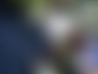 Local Gift Guides 2025