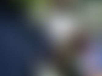 Local Gift Guides 2025