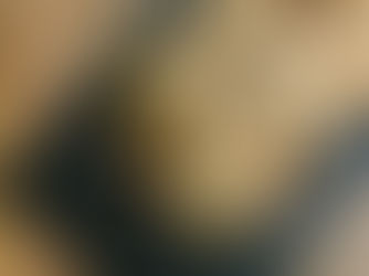 Merry MallowDoodle Cookies