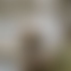 On Brine, Tides and Time