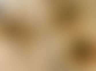 Mushroom and Herb Galette