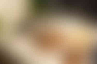 A variety of culinary delights await along Northeast Florida's inshore waterways