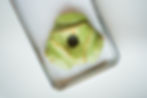 food trends matcha donuts