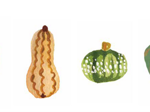 Gourd-eous Winter Squash
