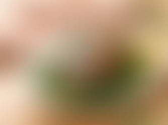 Blackened Mahi Mahi over Wilted Greens