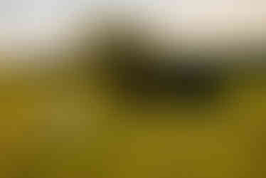 clover farms regenerative agriculture