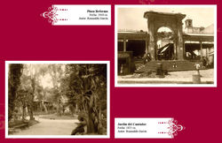 Catalogo Doris8