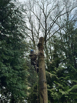 540978498_745342605044061_3194302979951161681_n