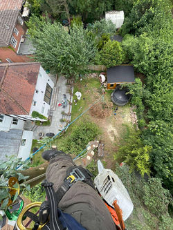 541183802_2274304512997162_8643850513033319671_n