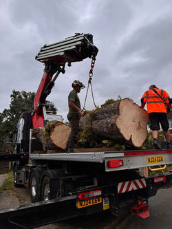 465251627_955741112640816_2766840830024677502_n (1)