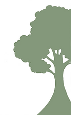 Untitled design (1).png