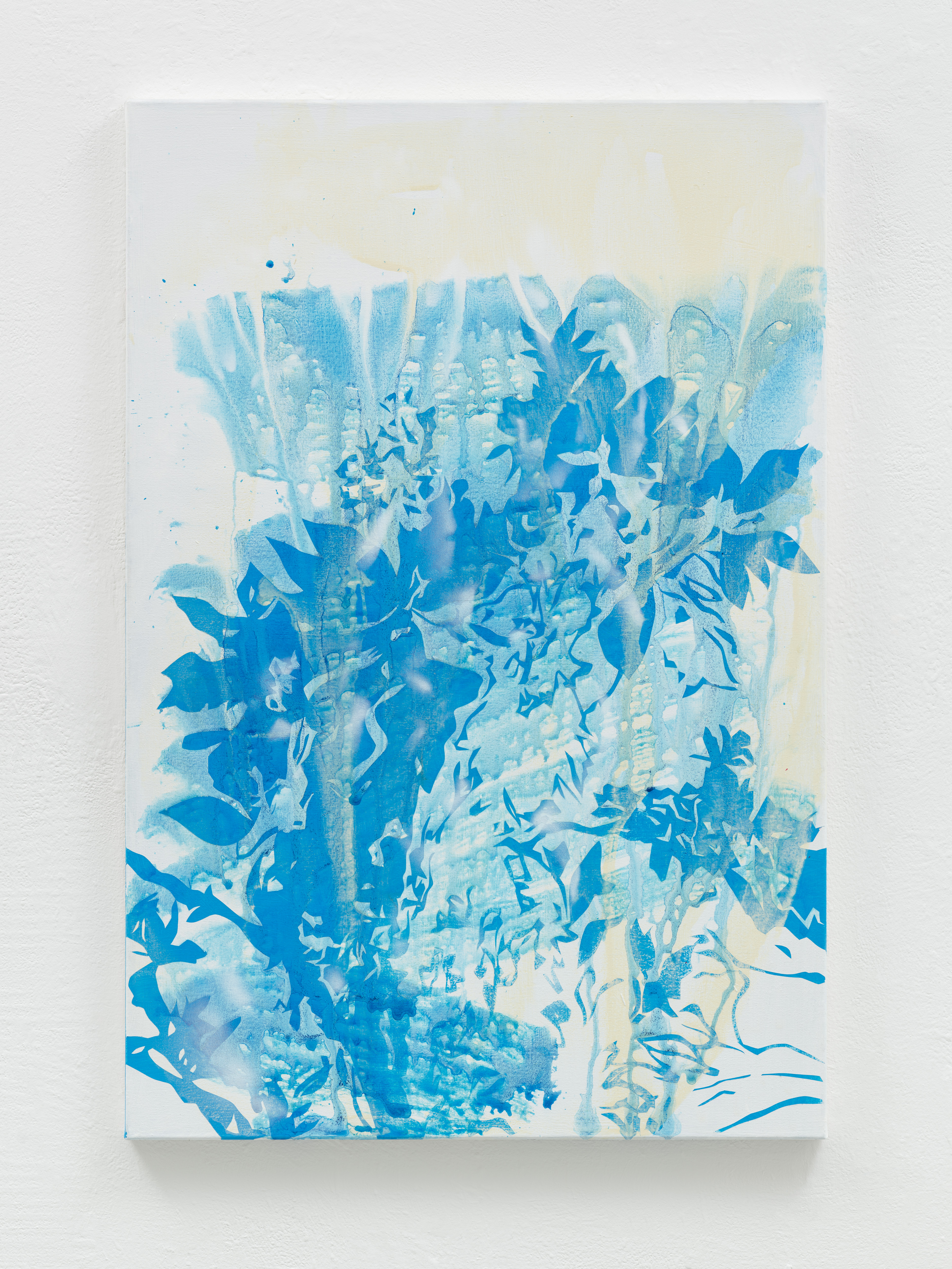sublimate (1.3.24), Acrylic on canvas, 120 x 80 x 4 cm. Photo: Ivo Faber