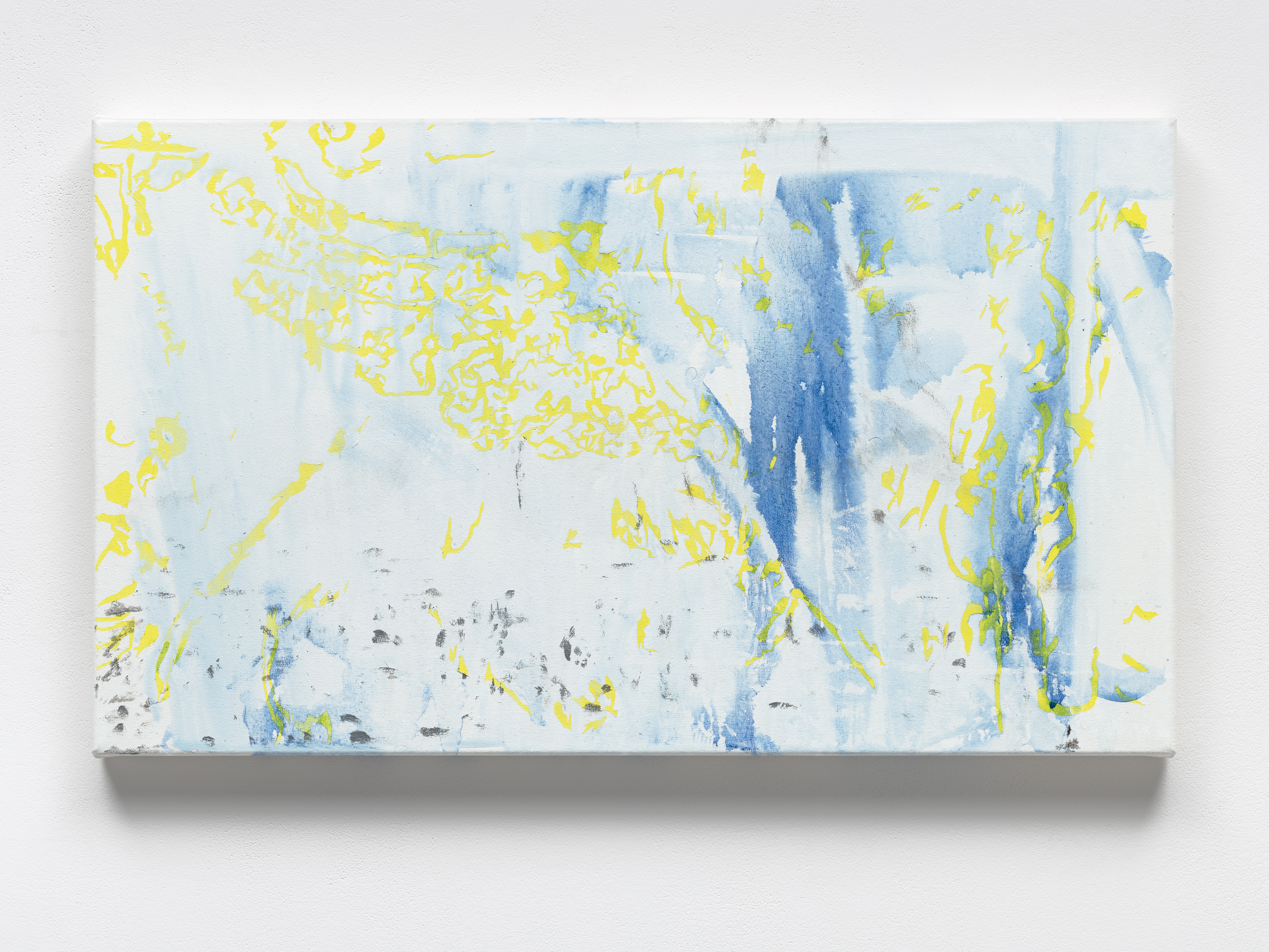 cristal (1.3.24), Acrylic on canvas, 50 x 85 x 4 cm. Photo: Ivo Faber