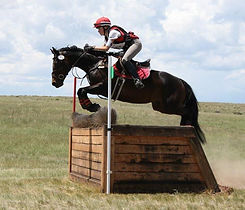 IMG_20250807_133024 (5) (1).jpg