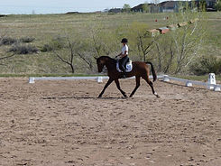 IMG_20250807_133021 (5).jpg