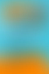 April Employee Spotlight - Brenda Gandara