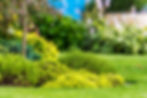Property care in lake state