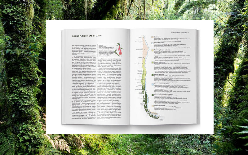 Miniatura: Flora y Fauna de Chile - Guía de Identificación - Sharon Chester