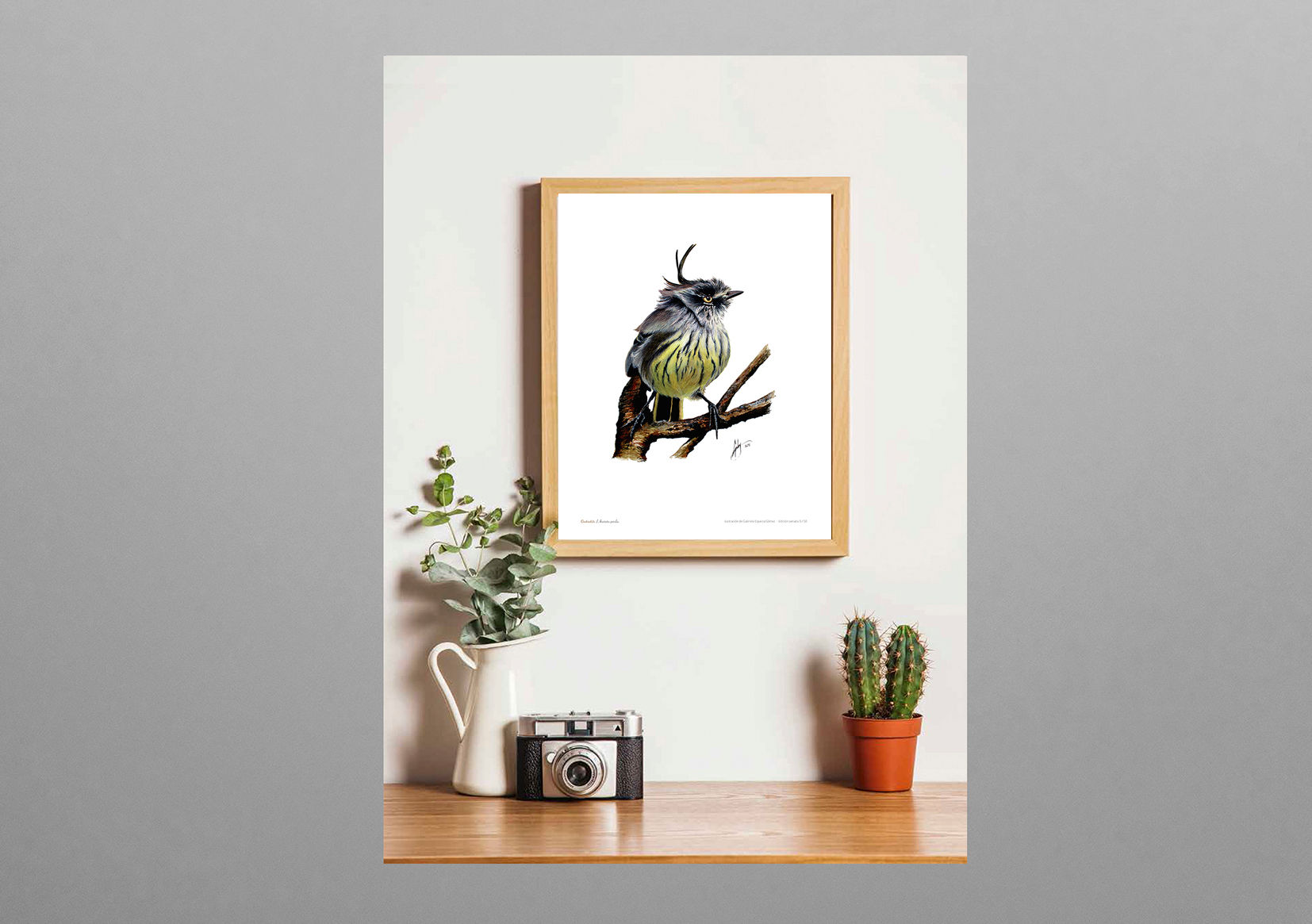 Cachudito, edición seriada, ilustración de Gabriela Es