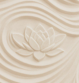 lotus dans du sable_edited.jpg