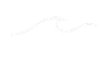 vague motif blanc.png