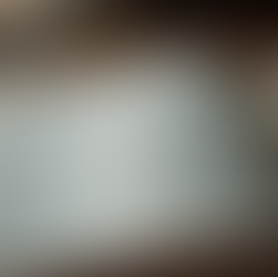 Get Your Free Study Bible Today by Contacting HSTVN