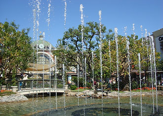 DSC04584.JPG