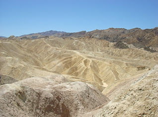 DSC05738.JPG