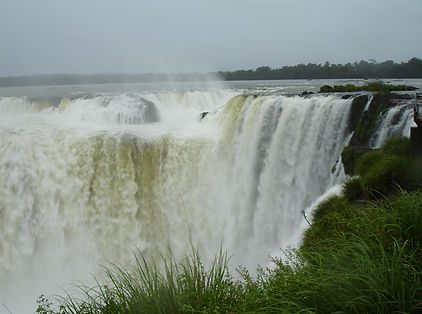DSC00515.jpg