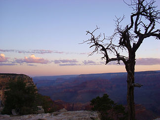 DSC05079 (2).jpg
