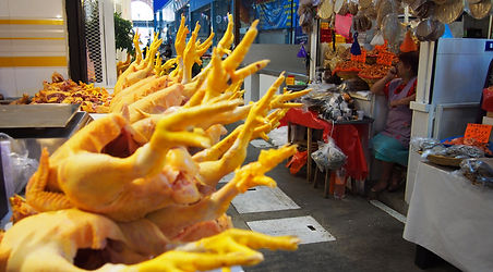 PA121115.JPG