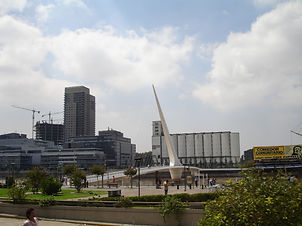 DSC00495.jpg