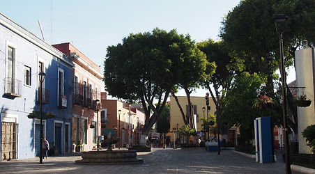PA110984.JPG