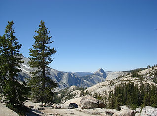 DSC05894.JPG