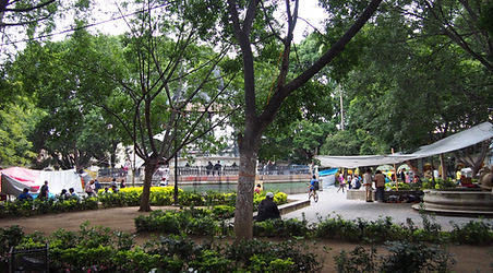 PA121084.JPG
