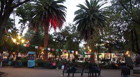 PA141382.JPG